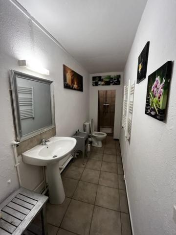 Cosy House T3 City Center, Museum, Place Carnot 卡尔卡松 外观 照片